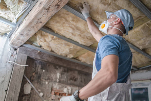 Best Insulation for Specific Applications in Welby, CO